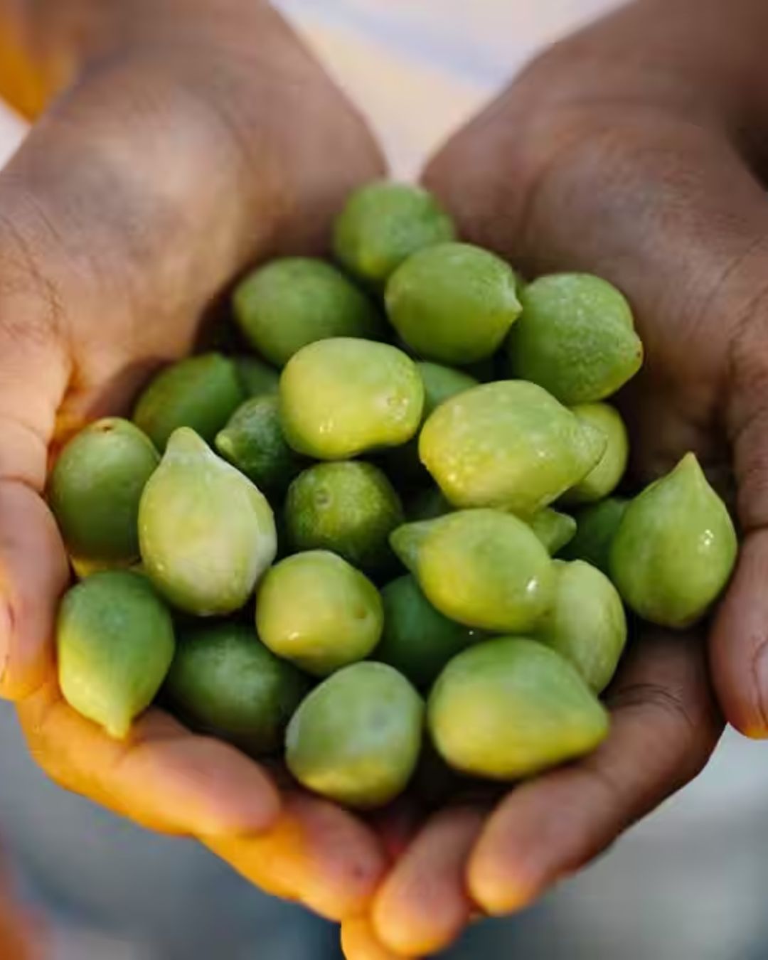 Kakadu Plum in Skincare: What I'm Learning